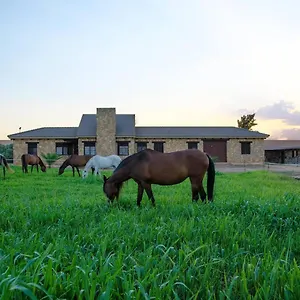 Casa Ecuestre Carmen Martinez Bed & Breakfast